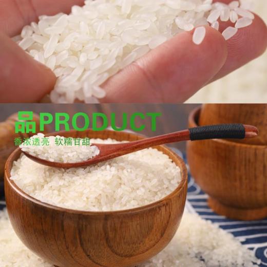 每日伊藤五常大米5kg 商品图2