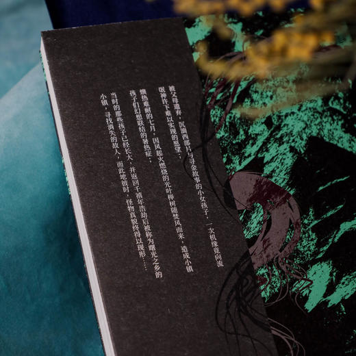 怪物之乡 横跨自然与民族、类型文学与纯文学的异质品种 商品图3