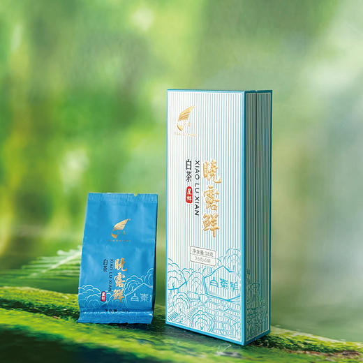 晓露鲜白茶星鲜 商品图2