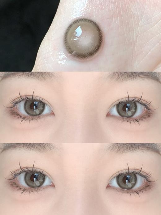 Serltyca半年抛-青木米灰（灰棕） 商品图6