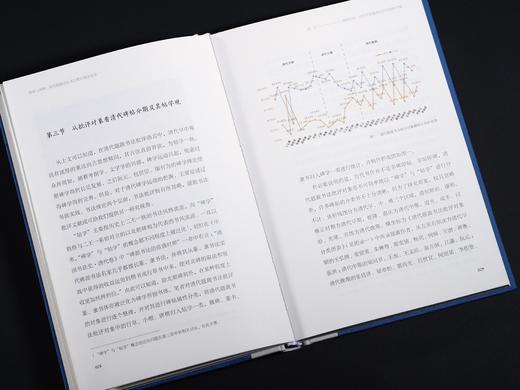 《视阈与阐释：清代题跋中的书法批评观念嬗变》 商品图6