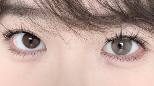 Serltyca半年抛-青木米灰（灰棕） 商品图10