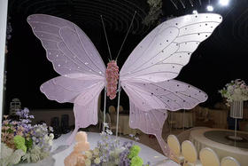 背景舞蝶、不含花艺（运费自理）