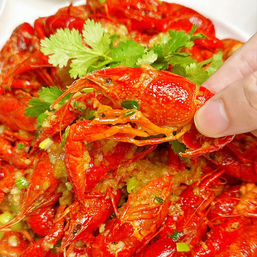 【湖北好物】洪湖小龙虾  多口味任选  顺丰直达 商品图4
