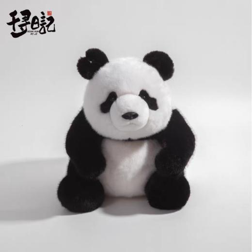 千寻日记熊猫系列 商品图2
