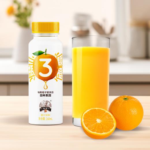 褚橙橙汁饮料260ml*15 （整箱装） 商品图3