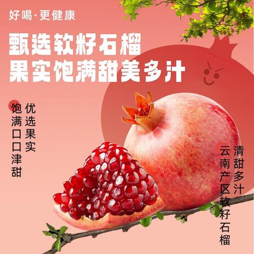 桑加1 NFC100%石榴汁 290ml/瓶 商品图3