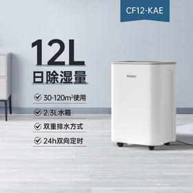 海尔除湿机/抽湿机 除湿量12升/天 20㎡家用轻音抽湿器卧室干燥机地下室除湿器CF12-KAE