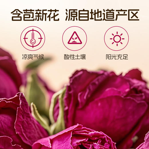 雷允上玫瑰花80g/罐 商品图1