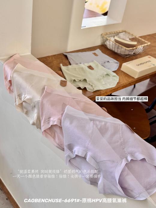 ✨养护型桑蚕丝聚乳酸棉 6条/礼盒装【原棉H*V高腰氧巢裤】高腰加宽全包裹贴合臀部 舒适包臀不易夹臀 告别尴尬拉扯 商品图8