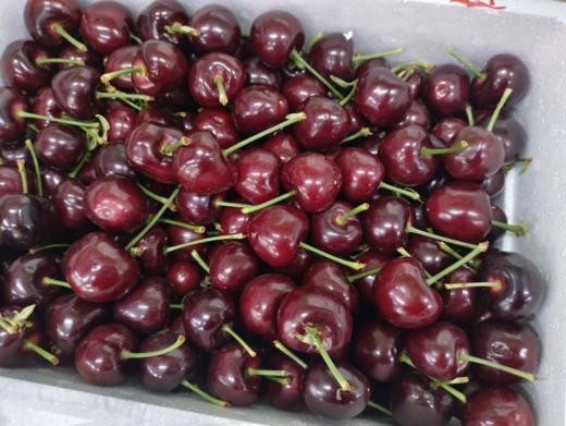 美早大樱桃3斤 商品图0