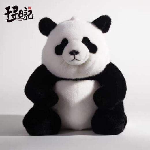 千寻日记熊猫系列 商品图6