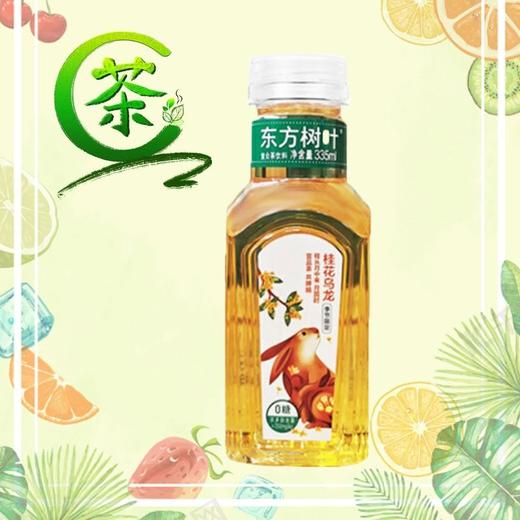 东方树叶桂花乌龙茶{小}335ml 商品图2