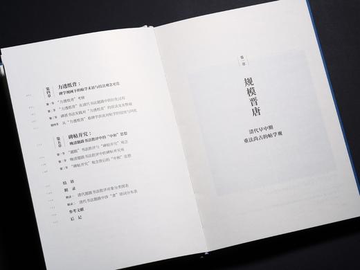 《视阈与阐释：清代题跋中的书法批评观念嬗变》 商品图4