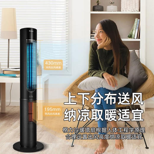 格力（GREE）家用卧室办公室无叶塔扇冷暖两用落地扇负离子智能节能遥控 FL-10X61RBag(WiFi) 商品图1