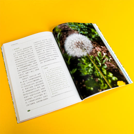 《药用植物科普笔记》童书、科普、药用植物、自然、笔记、中医、本草 商品图3