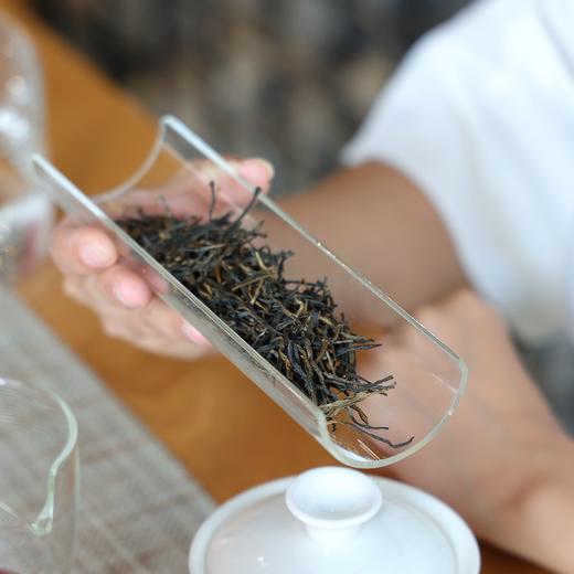 「滇红松针」2025年头春，高香甜汤，凤庆原产（225g） 商品图1