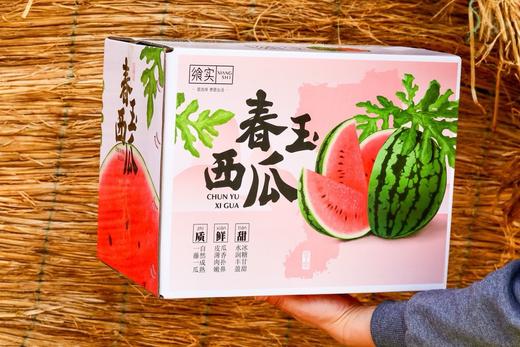 春玉西瓜 商品图3