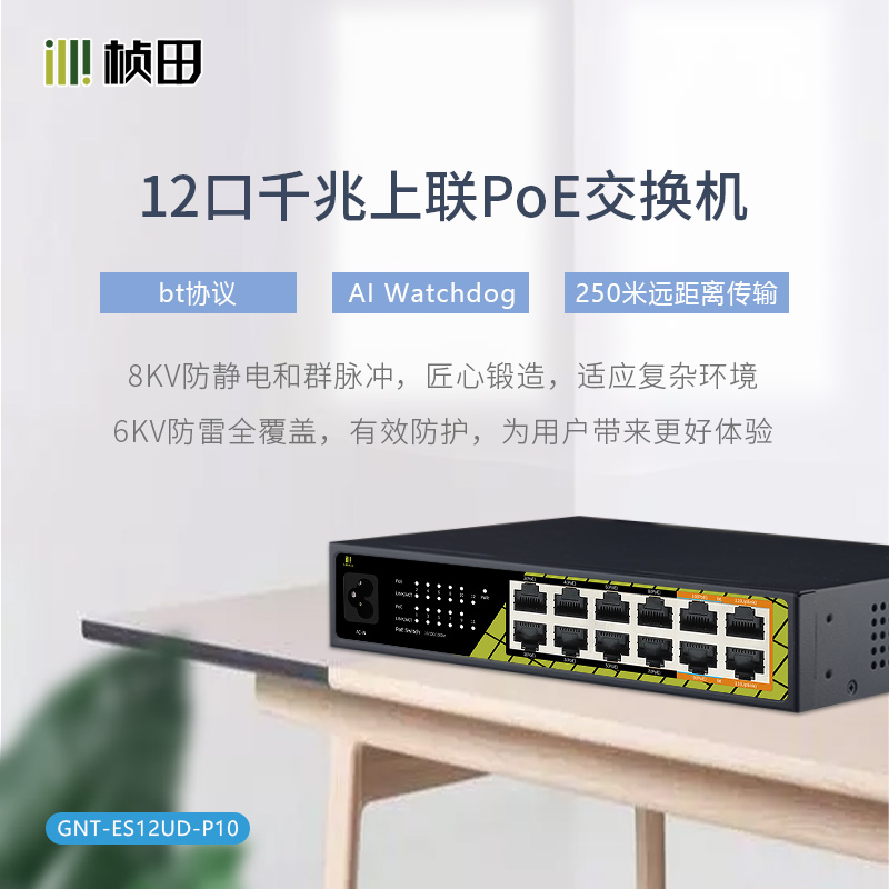 【250米远距离传输】10口PoE+2口千兆上联千兆PoE交换机(2G+2GP6+8EP/120W)/GNT-ES12UD-P10