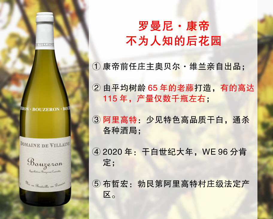 【最后6瓶，售完无补】康帝前庄主出品：维兰酒庄布哲宏干白（2020年）