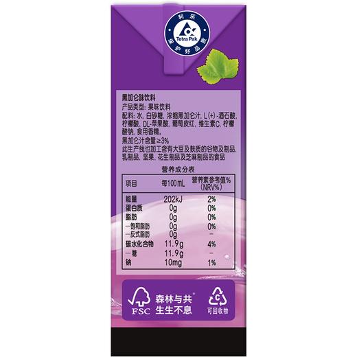 维他黑加仑味饮料250ml 商品图1