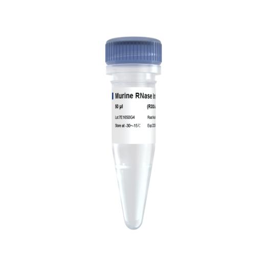 Murine RNase Inhibitor Pro 商品图0