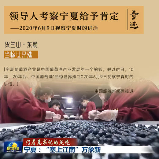 【国际马拉松官方指定用酒】奇迹酒庄·128红葡萄酒  中国葡萄酒第一镇 10个月橡木桶陈酿 14%vol 商品图6