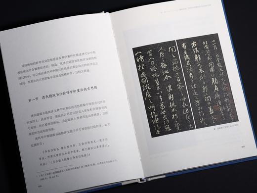 《视阈与阐释：清代题跋中的书法批评观念嬗变》 商品图8
