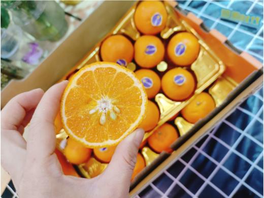 欢乐果园沃柑一箱 商品图4