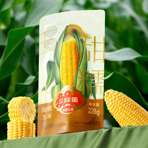 三胖蛋甜糯玉米单袋装228g（单根） 商品图0