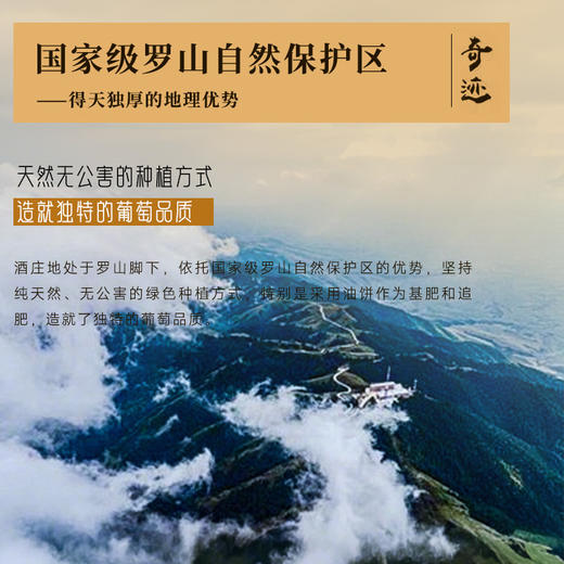 【国际马拉松官方指定用酒】奇迹酒庄·128红葡萄酒  中国葡萄酒第一镇 10个月橡木桶陈酿 14%vol 商品图8