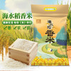 广东湛江海大红海水稻香米5千克/袋 商品缩略图1