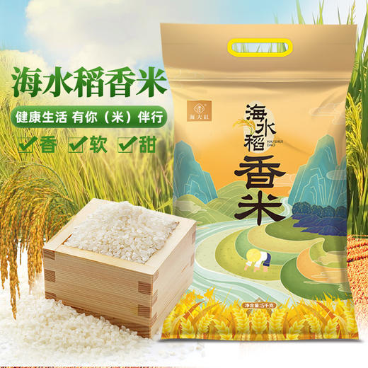 广东湛江海大红海水稻香米5千克/袋 商品图1