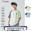 【代发】男童撞色插肩字母短袖T恤 蓝汽水夏款上衣白色/蓝色 商品缩略图0