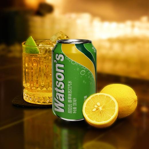 屈臣氏watsons 香草味苏打汽水 330ml/罐 商品图2
