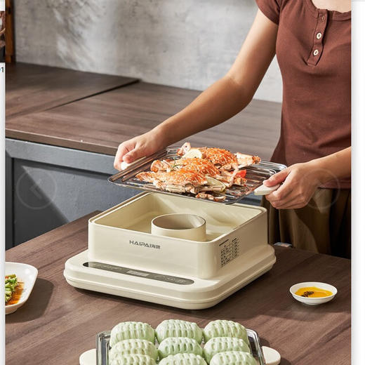 海牌不锈钢电蒸笼_HP-Z20A【K】 商品图3