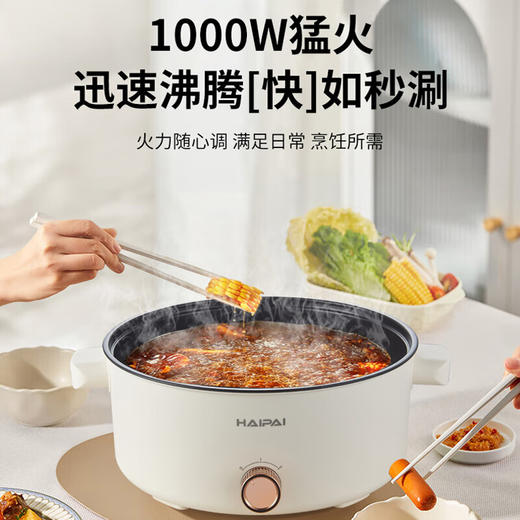 海牌多功能电火锅_D206【K】 商品图1
