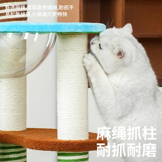 zeze缤纷花园爬架-B（包邮） 商品图3