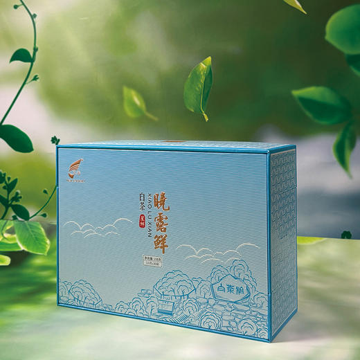 晓露鲜白茶星鲜 商品图0