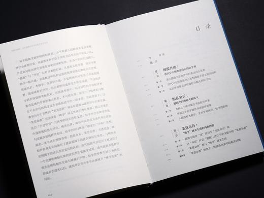 《视阈与阐释：清代题跋中的书法批评观念嬗变》 商品图9