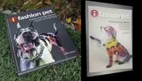 全球创意美容作品集第一版+第二版套二册 OPAWZ小爪印