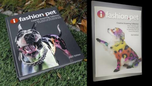 全球创意美容作品集第一版+第二版套二册 OPAWZ小爪印 商品图0