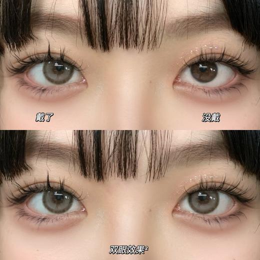 Serltyca半年抛-青木米灰（灰棕） 商品图2