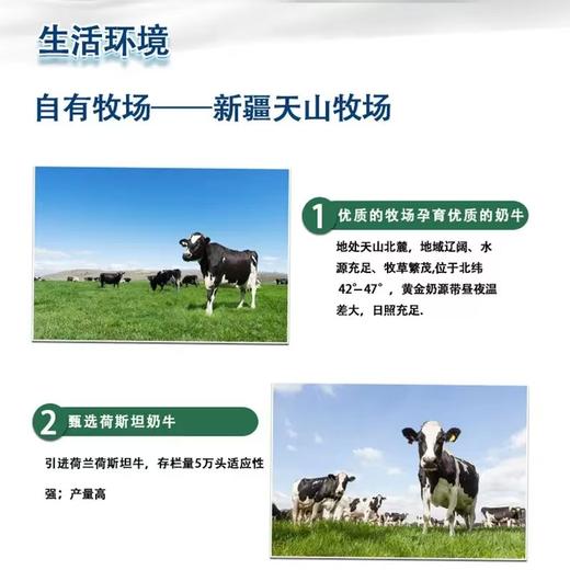 新疆西牧天山军垦1949纯牛奶200ml*4箱 商品图9