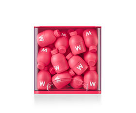 万益蓝WONDERLAB 富硒麦芽蔓越莓益生菌即食乳酸菌食品 30瓶-25年版