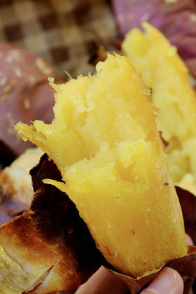 比蜂蜜还甜｜金坂蜜芋红薯（不甜包售后）