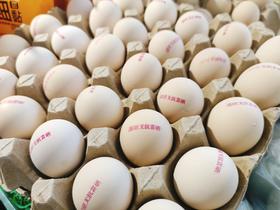 富硒鸡蛋一箱