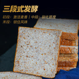 超级种籽吐司 250g