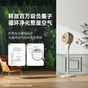 奥戈那 OGNAL电风扇3D摇头空气循环扇家用落地扇净化扇台立两用风扇可放香薰蚊香片8寸循环扇FL系列 机械款FL-YF101 商品缩略图2