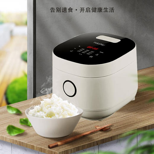 海牌5L电饭煲_象牙白HP-FB500【K】 商品图3